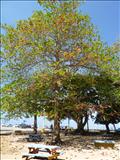 Parque Colón - AGUADILLA